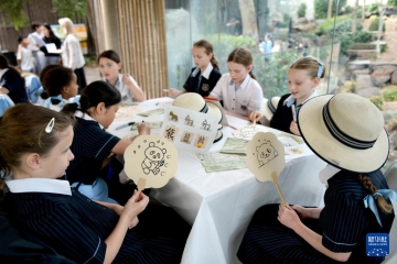 澳大利亚“国际中文日”活动大熊猫元素成亮点